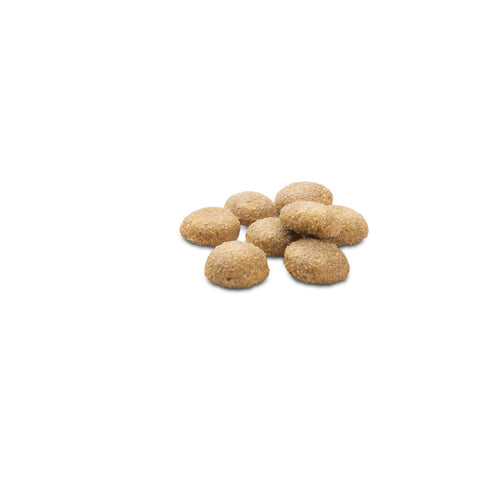 MERA Essential Active - Amman Pet Nutrition House Online Store